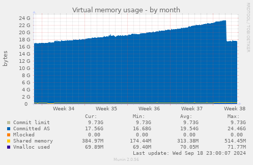 Virtual memory usage