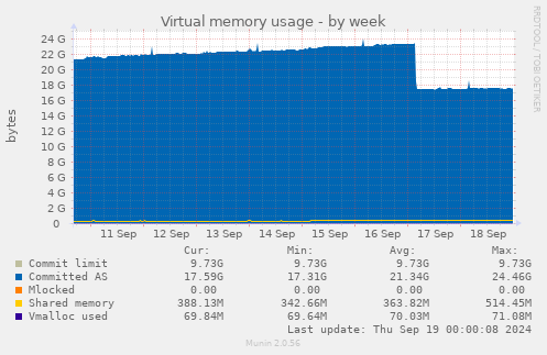 Virtual memory usage